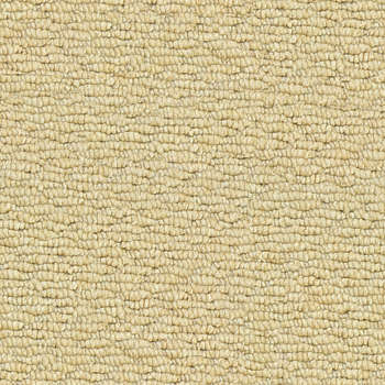 Carpet Flooring 3 A close up of carpet flooring with texture.