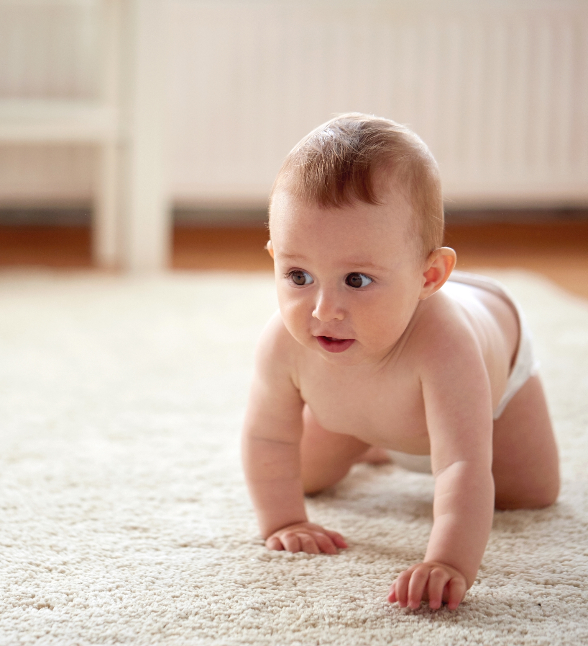 Carpet Installation Diaz Hardwood Floors