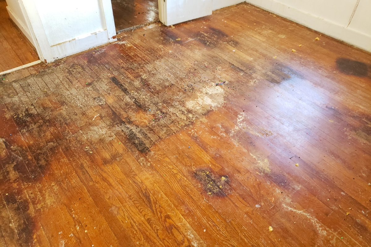 Wood Floor Refinishing in Brookhaven: Key Signs It's Time to Refinish Your Floors 3 Worn and stained wood floor in an empty room, showing significant discoloration, damage, and dirt near an open doorway.