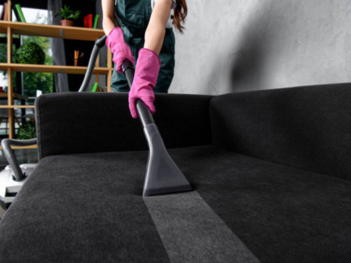 Expert Tips for Carpet Cleaning & Care: Effective Cleaning and Maintenance Strategies 3 Person wearing pink gloves cleaning a dark gray sofa with a vacuum cleaner, demonstrating efficient carpet cleaning techniques in a modern room with shelves and plants.