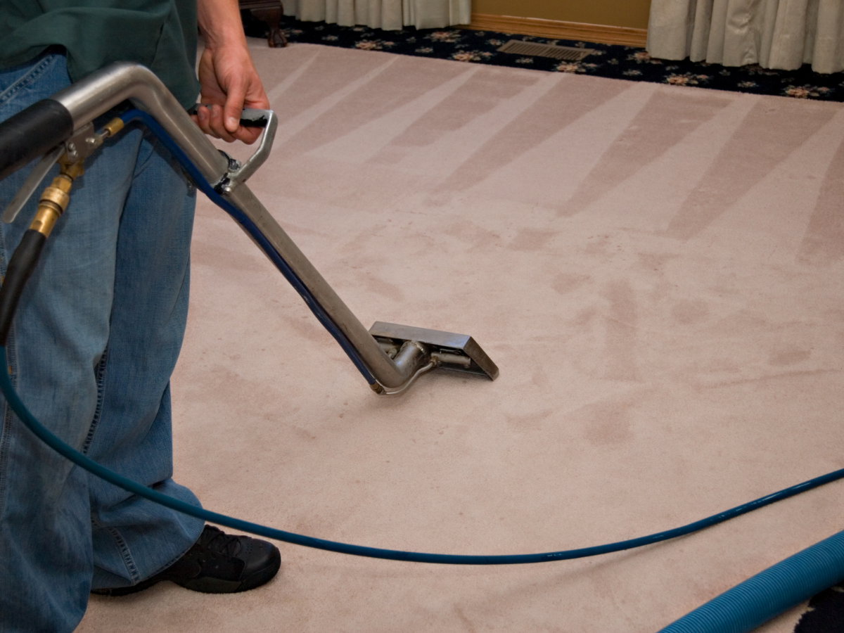 Expert Tips for Carpet Cleaning & Care: Effective Cleaning and Maintenance Strategies 1 A person is performing carpet cleaning with a professional machine on a beige carpet, clearly showing the difference between cleaned and uncleaned sections. A blue hose is attached to the carpet cleaning machine.